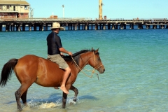 Repost BHP Jetty P1230341 small